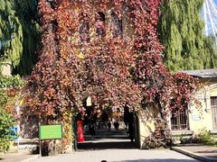 -哈尔滨文化公园