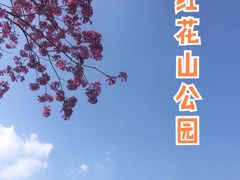 -红花山公园