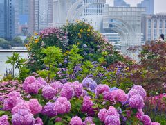 -北外滩滨江绿地