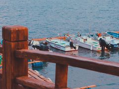 -五缘湾湿地公园