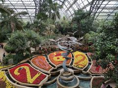 -南山植物园