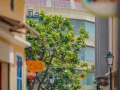 -澳门旅游塔360°旋转餐厅(南湾湖广场店)