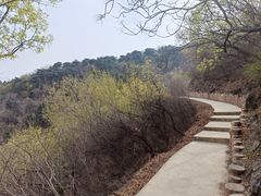 -北京西山国家森林公园