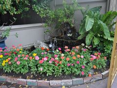 -五世皇金柚木行宫(维护中)