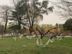 -大明宫国家遗址公园·御道广场