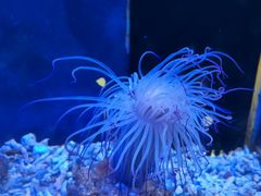 -沙沙哗啦海洋馆(华宇百花谷店)
