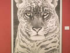 -江苏省美术馆(长江路新馆)