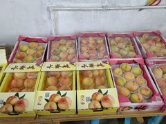 -南汇水蜜桃采摘(大团店)