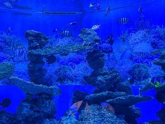 -海合安成都极地海洋公园