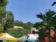 -三鹰之森吉卜力美术馆