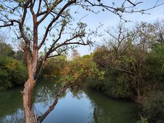 -西溪国家湿地公园