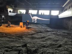 -自贡恐龙博物馆