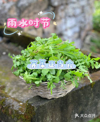 99%人没吃全的荠菜神仙吃法！