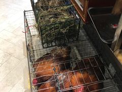 -忆江南·临江鱼馆