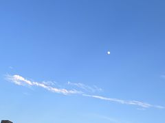 -大成海鲜烧烤·龙虾(南方商城店)