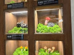 -菌自由丨野生菌火锅特色庭院餐厅(丽江古城店)