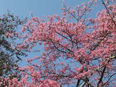 -风云岭森林公园