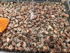 -盒马鲜生(红莲店)