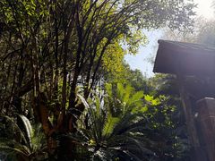 -明月山天沐温泉度假村