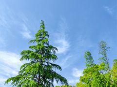 -江湾体育中心游泳馆