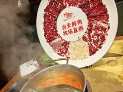 -手选潮汕鲜牛肉火锅(二七广场店)