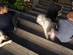 -首开·龙湖成都西宸天街