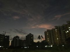 -西树泡芙(珠海华发商都店)