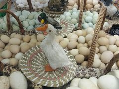 -利群商厦(台东店)