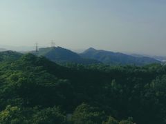 -大屏嶂森林公园