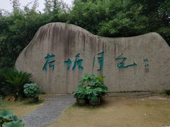 -荷塘月色湿地公园·向阳花洲