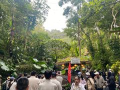 -西双版纳原始森林公园