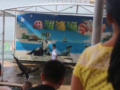 -西霞口神雕山野生动物世界