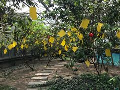 -晶宝温泉农庄