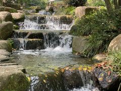 -中国茶叶博物馆(双峰馆区)