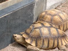 -石排湾郊野公园