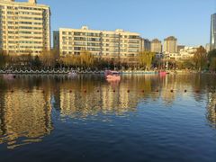 -雁滩公园
