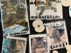 -猫的天空之城概念书店(杭州南宋御街店)
