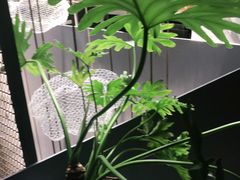 -良木缘咖啡西餐(太古里店)