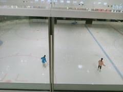 -TheRink大零溜冰场(IFS国金中心店)