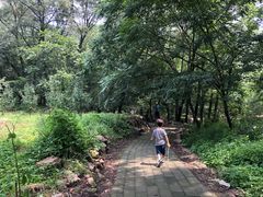 -大岭沟猕猴桃谷风景区