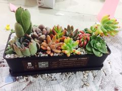 -盒悦高端盒饭(中海国际中心店)