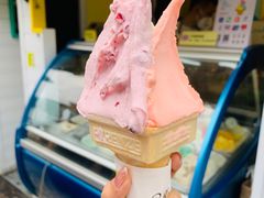 -柠檬车露(卖草地店)