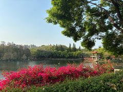 -深圳龙潭公园