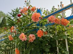 -长辛店二七公园