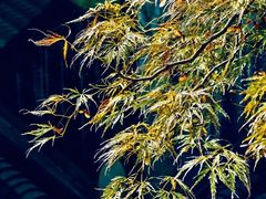 -东钱湖旅游度假区