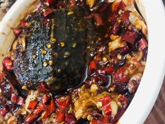 小甲鱼-铁头烧菜馆(立新路店)