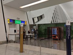 -米兰马尔彭萨国际机场