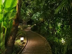 -厦门日月谷温泉渡假村