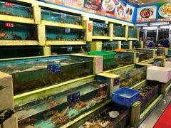 水产区-旺富东海大酒楼(海鲜街店)