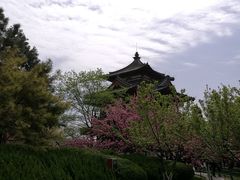 -西安青龙寺遗址景区